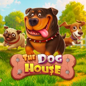 Слот The Dog House в 1xCasino